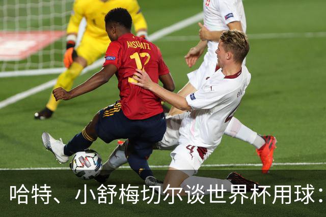 哈特、小舒梅切尔谈世界杯用球：这球肯定有问题，远射太多了